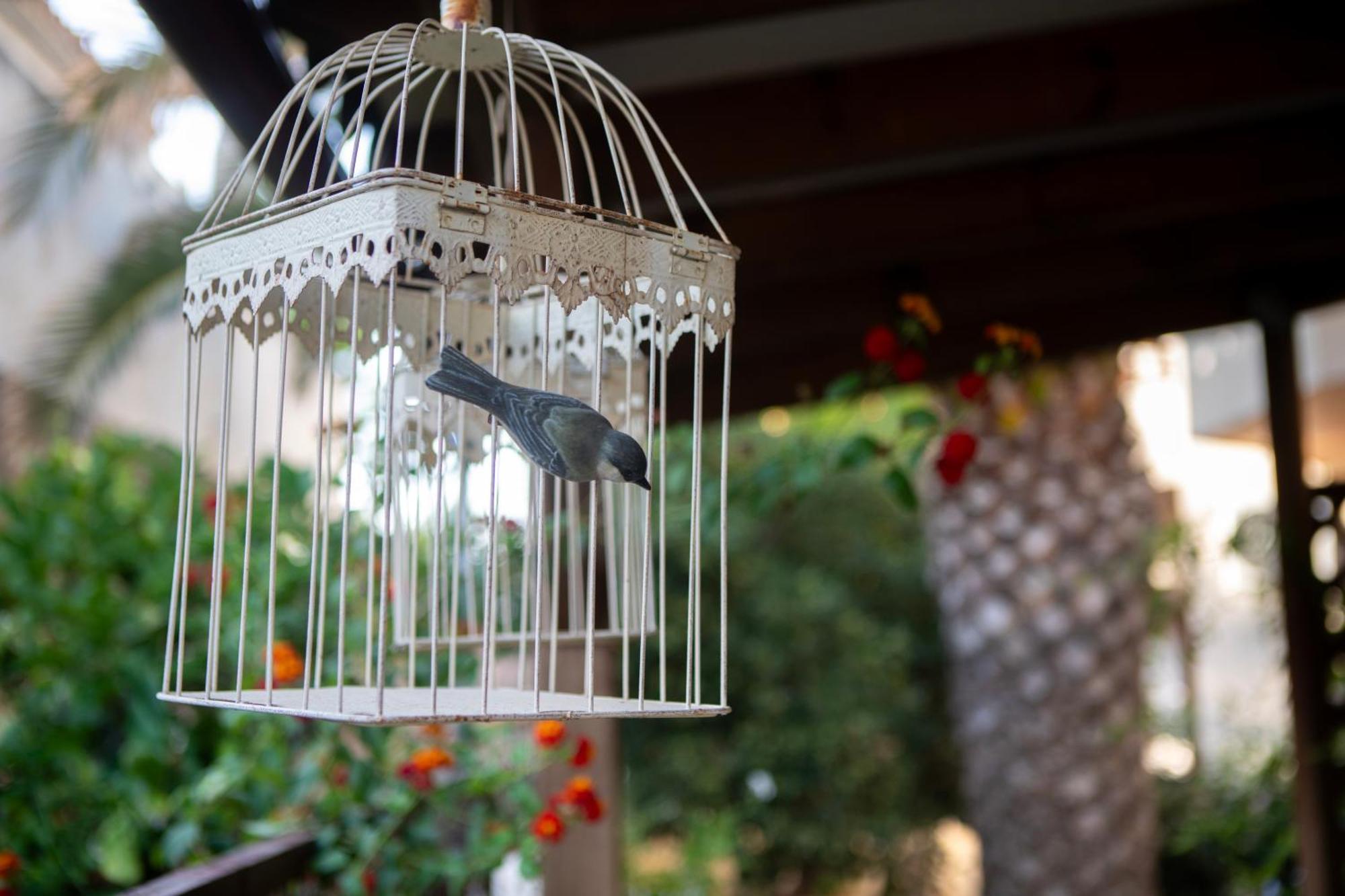 Galini Hotel Skala Eresou Ngoại thất bức ảnh